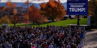 news-27102024-035122