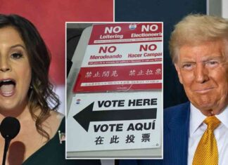 Campaigning efforts in New York: Trump and Stefanik support vulnerable Republicans in early voting news-27102024-082851