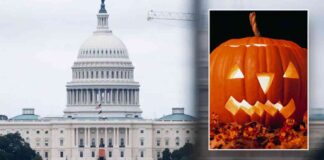 news-28102024-022833