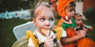 news-28102024-115258