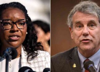 Exposing Dem Staffer: ‘Open the Border’ Admission in Leaked Video news-28102024-211851