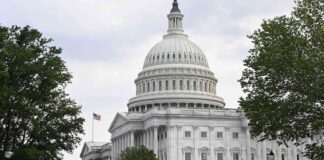 news-29102024-003041