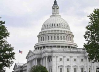 The History of the 50-50 Senate: Power Dynamics and Decision-Making news-29102024-003041