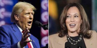 news-29102024-024949