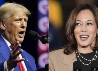 Trump merchandise outsells pro-Harris in lead-up to Election Day news-29102024-024949