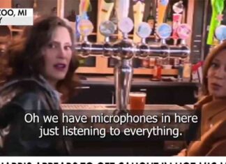 Kamala Harris Admits Campaign Struggles with Male Voters news-29102024-053553