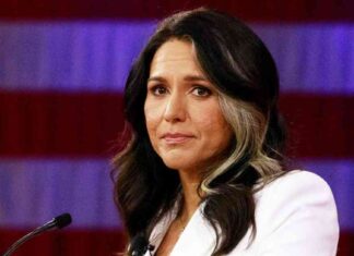 Tulsi Gabbard warns of negative impact on trans athletes in women’s sports under a Harris presidency news-29102024-232144