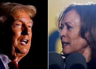 Trump Criticizes Harris for ‘Campaign of Hate’ After Madison Square Garden Rally Backlash news-30102024-002224