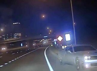 Driver Strikes Nashville Police Car in Shocking Video – Caught on Camera news-30102024-033800
