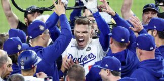 news-31102024-081520