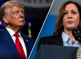 Americans Express Anxiety and Frustration Over Upcoming Election: Poll news-31102024-143559