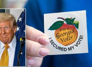 Rural Georgia Counties Lead in Early Voting, Outpacing Democratic Strongholds news-01112024-170520