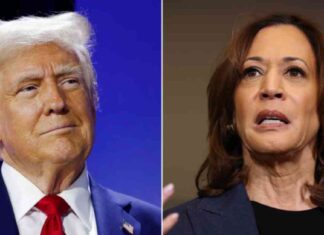 November Jobs Report: Trump Gains Political Ammunition Against Harris news-01112024-190646