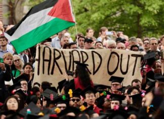 House Report: Harvard and Northwestern Failed Jewish Students in Campus Protests news-01112024-210732