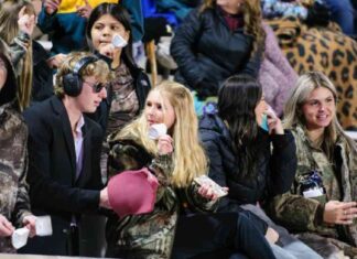 Seasonal Changes: A Visual Guide to Nature’s Transformations news-01122024-000431