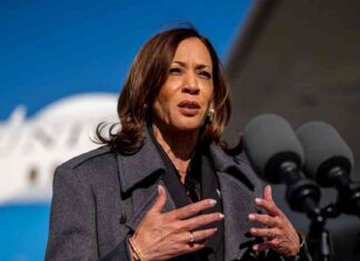 Trump’s Comments on Liz Cheney’s Rifle Views are ‘Disqualifying’ – Analysis news-02112024-001250