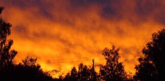 news-02112024-164650