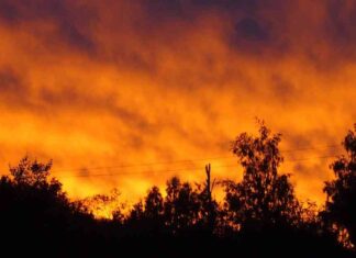 Update: New Jersey Wildfire and Drought Challenges – Latest News and Updates news-02112024-164650