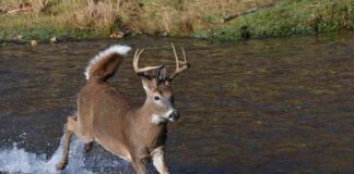 news-02112024-165158