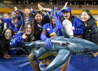 Ultimate Defensive Success: How the Sharks Provide Pitt with Key Elements news-02112024-170525