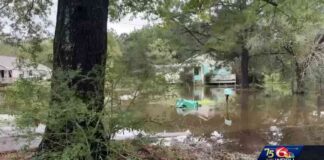 news-02112024-183324