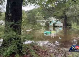 Flooding in St. Tammany Parish: Impact of Heavy Rainfall on Roads news-02112024-183324