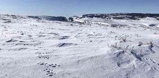 news-04112024-095103