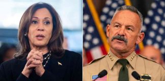 news-04112024-223617