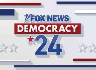 USA Presidential Election 2024: Voting for the Next President of America news-05112024-134353