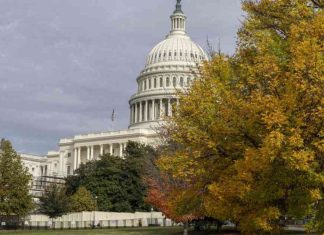 Arrested Man at US Capitol with Manifesto, Flare Gun, and Blow Torch: Details and Updates news-05112024-225448
