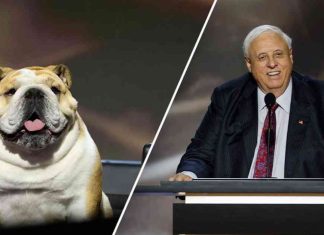 West Virginia Senate Seat Flipped Red by Babydog in Washington news-06112024-044411