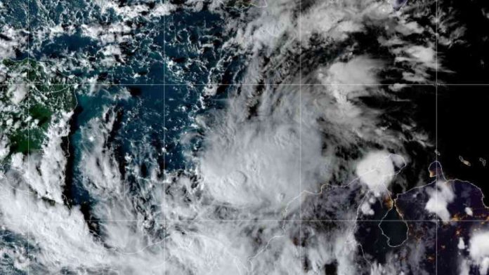 news-07112024-164323