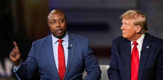 news-08112024-121354