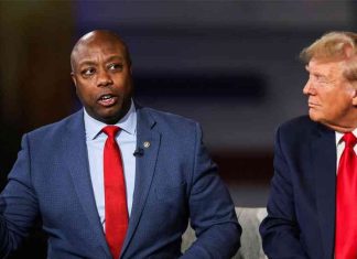 Tim Scott Launches Bid to Chair NRSC to Capitalize on GOP’s Minority Gains news-08112024-121354