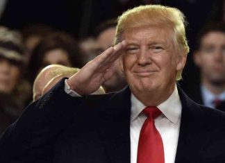 Trump’s Legal Cases Update After Election Victory news-08112024-151355