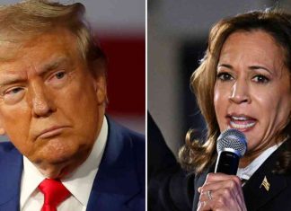 Trump Wins Nevada, Expanding Lead Over Kamala Harris news-09112024-091814