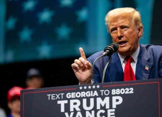 Fast-Tracking Los Angeles Sanctuary City Law After Trump Win news-10112024-211243