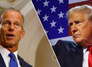 John Thune Responds to Trump’s Senate Leader Contender Litmus Test news-11112024-001248