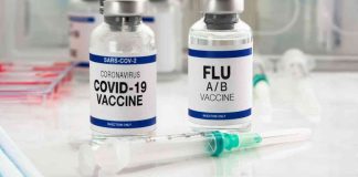 news-11112024-122901