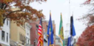 news-11112024-153420