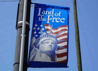 Honoring Veterans: Local Events in Town for Veterans Day news-11112024-153443