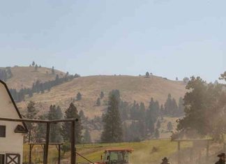 Exploring the IRL Dutton Ranch: A Comprehensive Guide news-12112024-034018