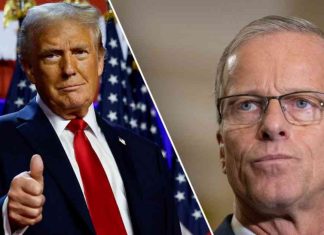 Thune Prioritizes Trump’s Border Plan as Top Task for New Congress news-14112024-201335