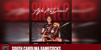 news-15112024-053841