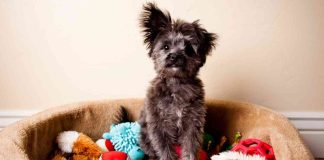 news-15112024-172702