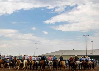 Cooler and Windy Weekend Forecast for Cheyenne: Mild Friday Transition news-16112024-005641