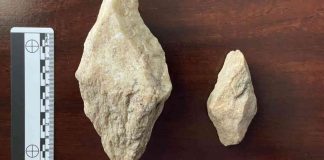 news-16112024-005712