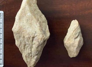 Exposing Native American Sites: Whistleblower Revelations news-16112024-005712