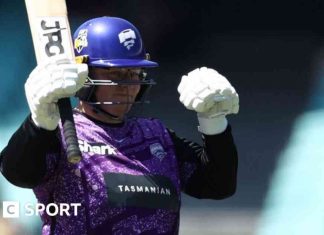 Lizelle Lee Hits 150 Runs in WBBL 2024 Victory for Hobart Hurricanes news-16112024-100204