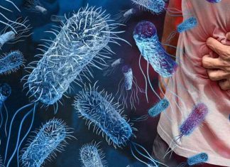 Preventing Foodborne Illness: Top 5 Sources and Prevention Tips news-16112024-125937